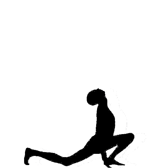 Ashwa Sanchalanasana