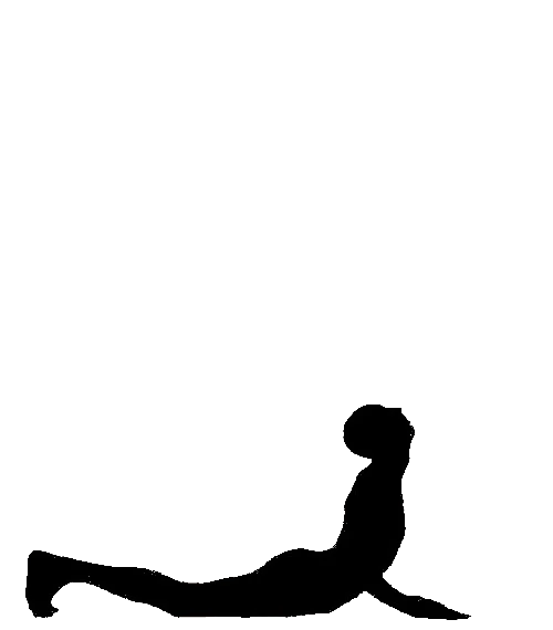 Bhujangasana