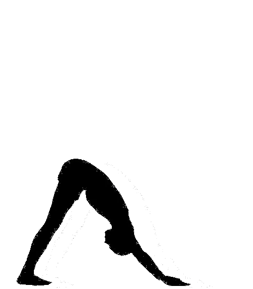 Adho Mukha Svanasana